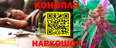 мдпв Обь