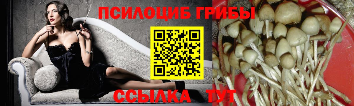 Галлюциногенные грибы прущие грибы  Псилоцибиновые грибы MAGIC MUSHROOMS  Тольятти  Вход с VPN 